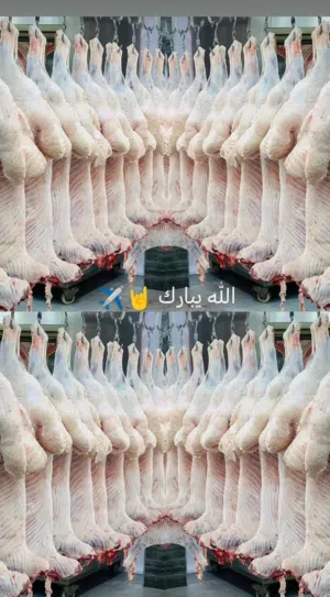 تقبل الله طاعاتكم وصالح أعمالكم، وعساكم من عواده!  لتجهيز أضحيتكم بكل سهولة وراحة بال في بيوتكم،