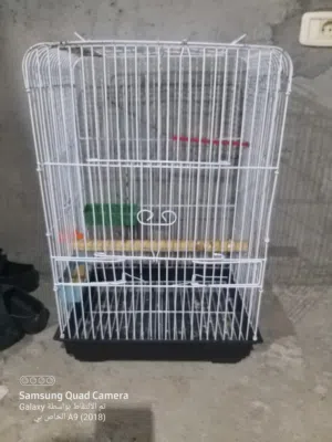 قفص ببغاء استعمال نضيف جدا