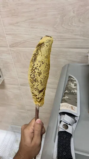 عسل أبو طويق