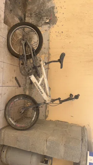 سيكلً ب 10 ريال