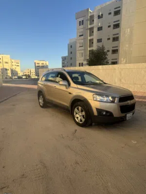 شفر اكتيفيا