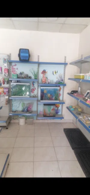 بيع محل كامل