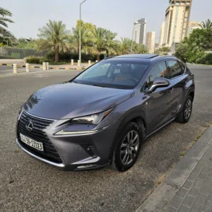 Lexus NX300 2018