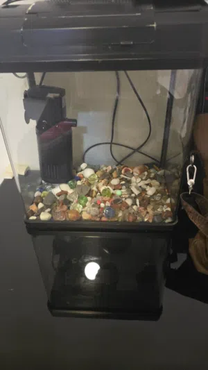 حوض سمك مجهز باضاءة مع الفلتر