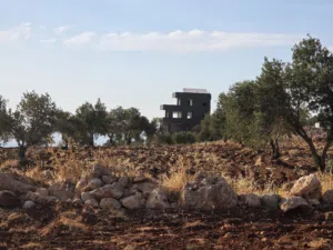 Mixed Use Land for Sale in Ajloun Other