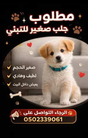 مطلوب جلب صغير و يكون أليف و سعر التبني معقول