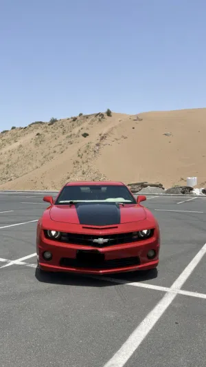 Used Chevrolet Camaro in Muscat
