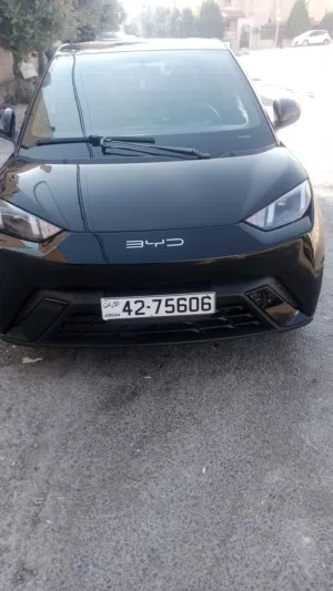 Used BYD Seagull in Amman
