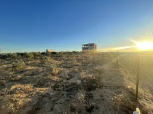 Farm Land for Sale in Madaba Thiban