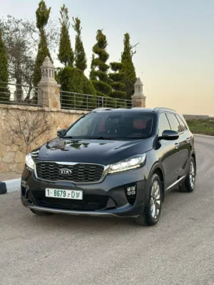 كيا سورينتو 20ترخيص19
