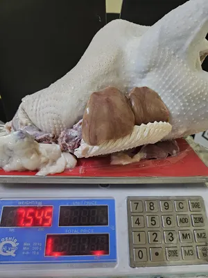 Meat3