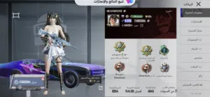 حسابات ببجي