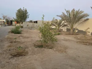 2 Bedrooms Farms for Sale in Al Batinah Barka