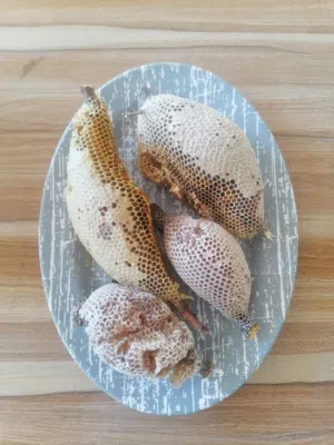 عسل برم ابوطويق