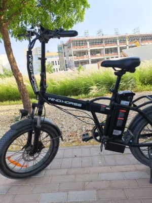 Windhorse w4a electric bike (ebike) bigger than W2A Cash only - Negotiable price Excellent condition