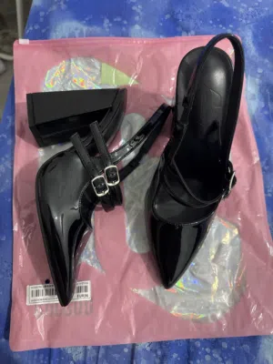 Chunky heel pointed toe