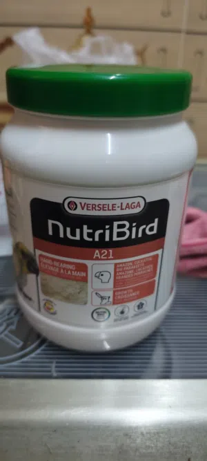 اكل زق A21 حساسين وكاسكو ومعاكيف