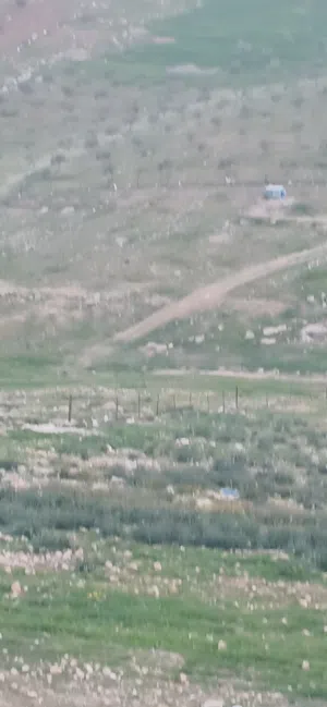 Farm Land for Sale in Jerash Qafqafa
