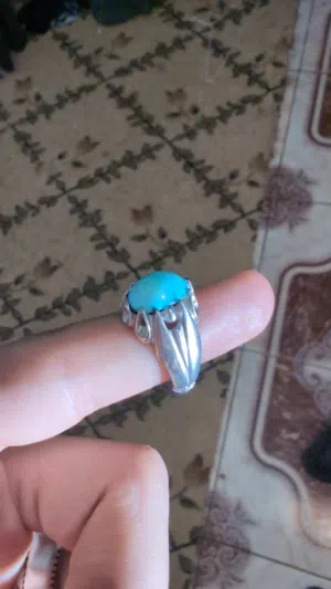 رضوي نيشابوري صافي