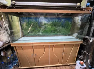 Fish Aquarium  length is 5.2 or width 1.5 للبيع حوض  use