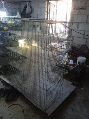 قفص فري للبيع