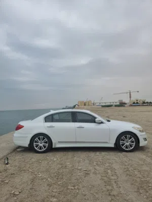 جنسسز فل اوبشن 2013