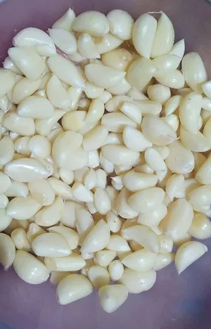 Vegetable & Fruit0