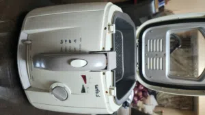 Sanford Deep fryer