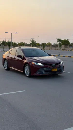 New Toyota Camry in Al Batinah