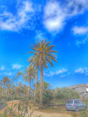 سبحان الله 