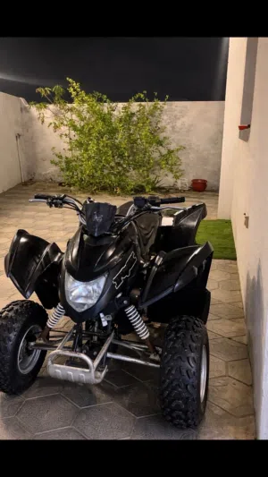كوبرا للبيع