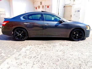 Used Nissan Maxima in Muscat