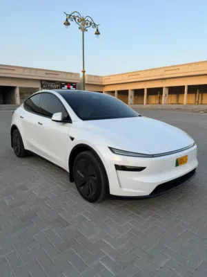 Used Tesla Model Y in Muscat