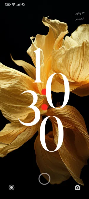 ارض ثلاث قطع كل قطعة 500 م.  الاجمالي 500.  في فينيسيا 2