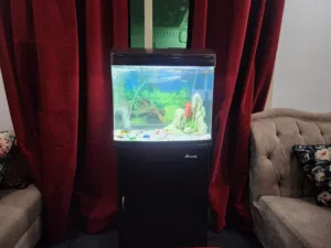 Aquarium with all accessories