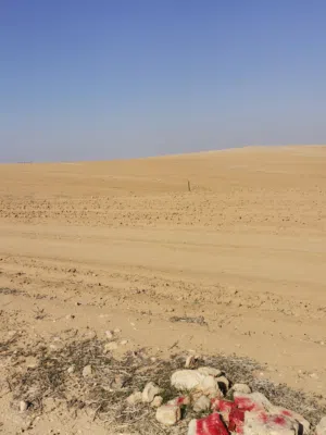 Farm Land for Sale in Madaba Thiban
