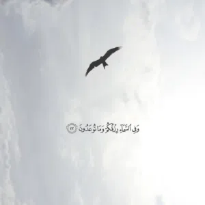 حازم