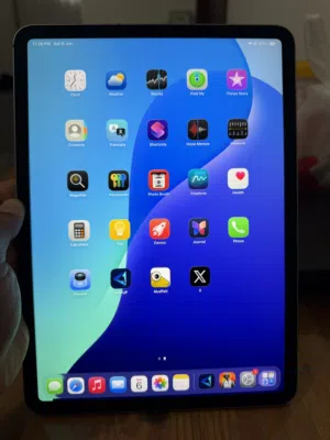 IPAD PRO M2 256gb 5g Cellular + WIFI