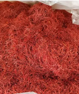 زعفران إيراني فاخر... عطرٌ ونكهةٌ لا تُنسى