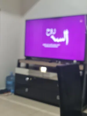 شقه مفروشه  يومي شهري عجمان غرفه صاله