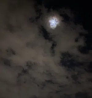 ابو مشاري