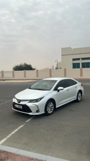 كورلا 2024 خليجي على ضمان الوكالة قابل لتفاوض للجادين