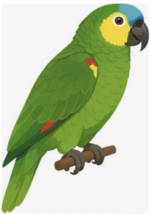 Meet Jojo! He’s a beautiful, healthy parrot with vibrant colors and a unique personality.
