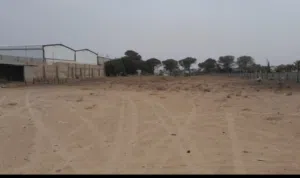 ارض للايجار علي الرىيسي