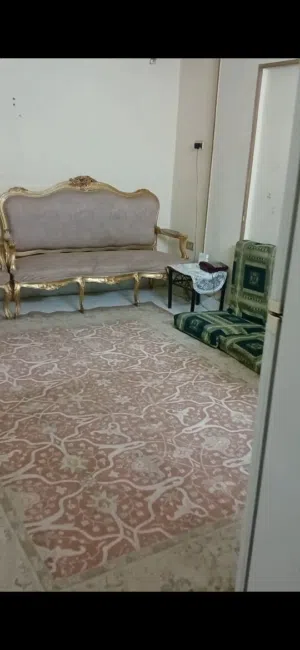 شقه مفروشه للايجار