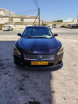 Used Nissan Maxima in Al Batinah