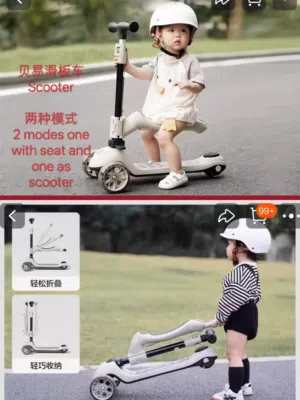 Two-mode scooter