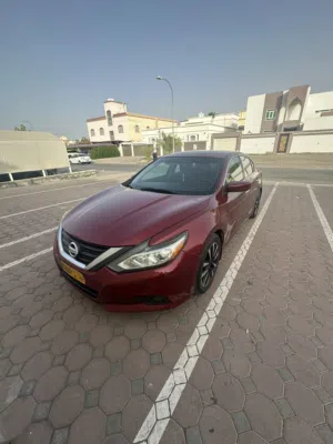 Used Nissan Altima in Muscat