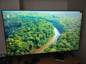 شاشه 55 tcl