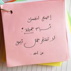 erfan alshboul 